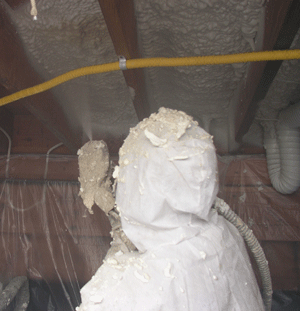 Ft. Pierce FL crawl space insulation
